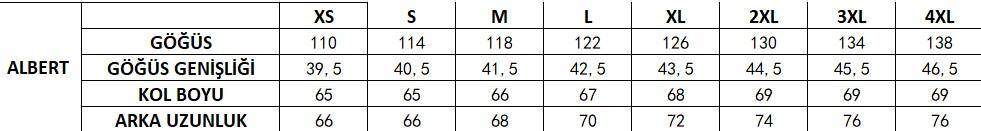 2AS Albert Erkek Down Ceket Yeşil - 6