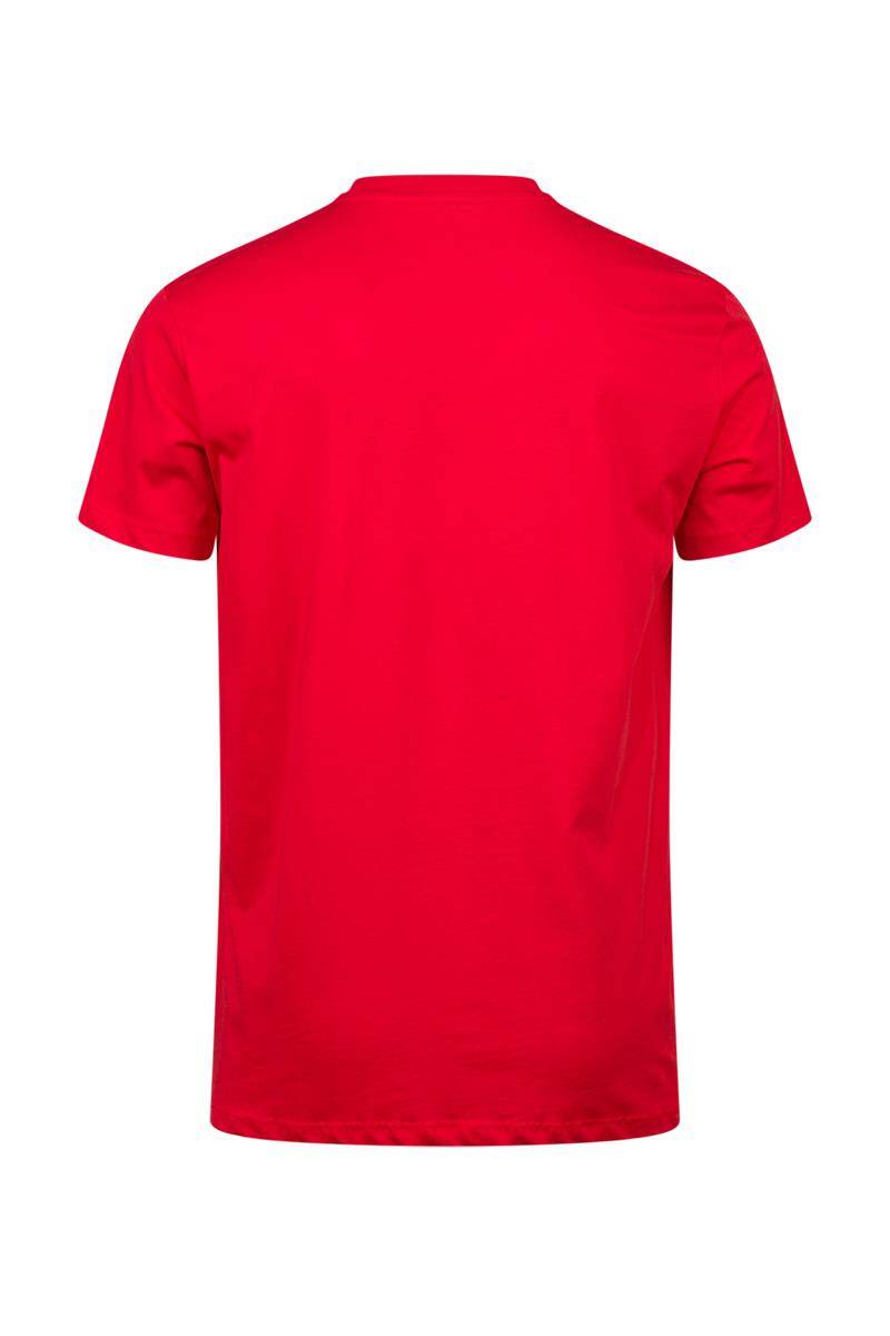 2AS Alex Baskılı Erkek Sıfır Yaka T-Shirt 016 - 4