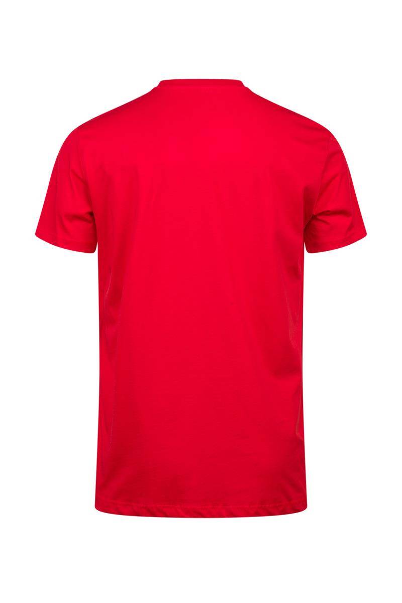 2AS Alex Baskılı Erkek Sıfır Yaka T-Shirt - 4