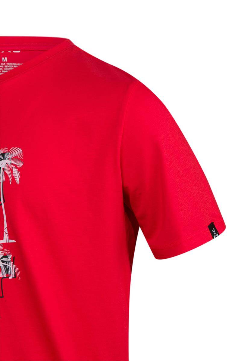2AS Alex Baskılı Erkek Sıfır Yaka T-Shirt 047 - 3