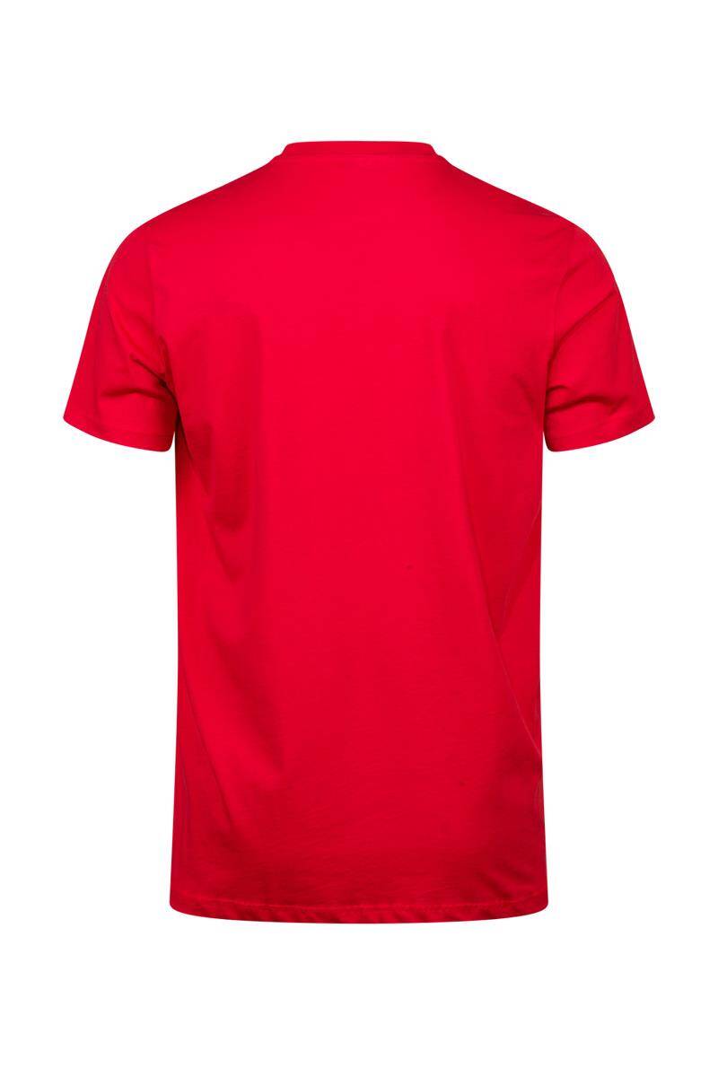 2AS Alex Baskılı Erkek Sıfır Yaka T-Shirt 047 - 4