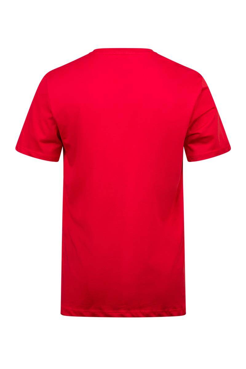 2AS Alex Baskılı Erkek Sıfır Yaka T-Shirt 035 - 4