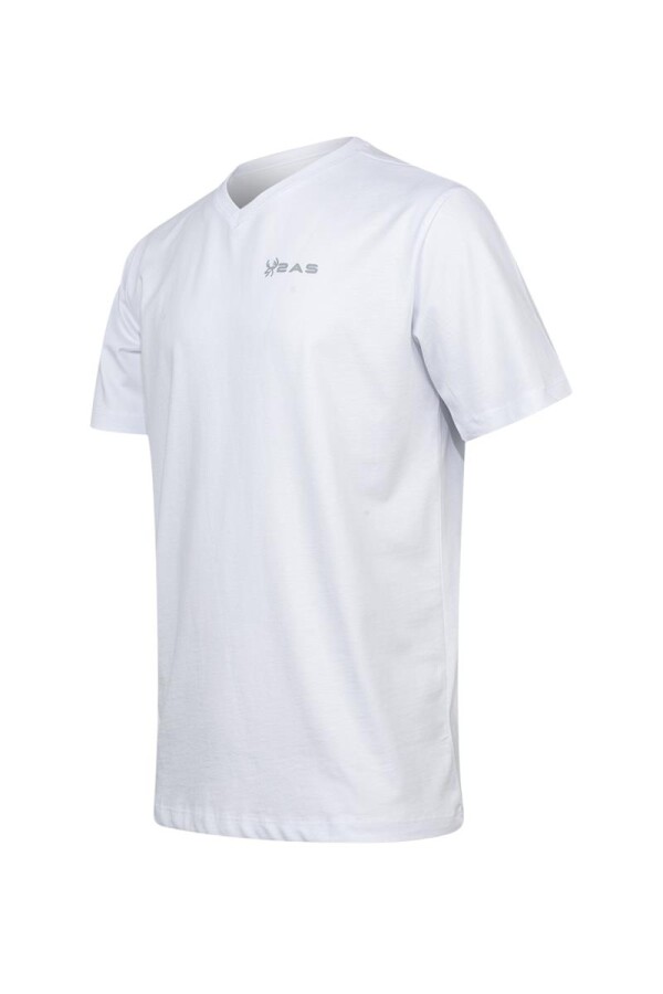 2AS Alvın Erkek V Yaka T-shırt - 2AS (1)