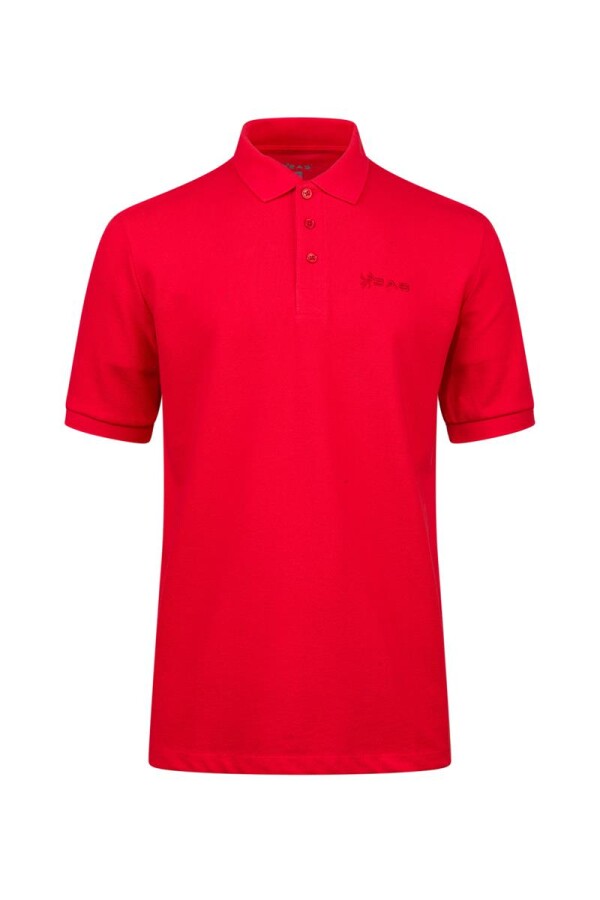 2AS Andy Erkek Polo Yaka T-Shirt 
