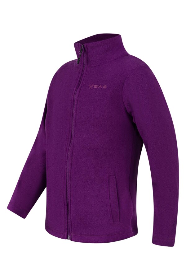 2AS Crystal Çocuk Tam Fermuarlı İnce Polar Sweatshirt - 2AS (1)