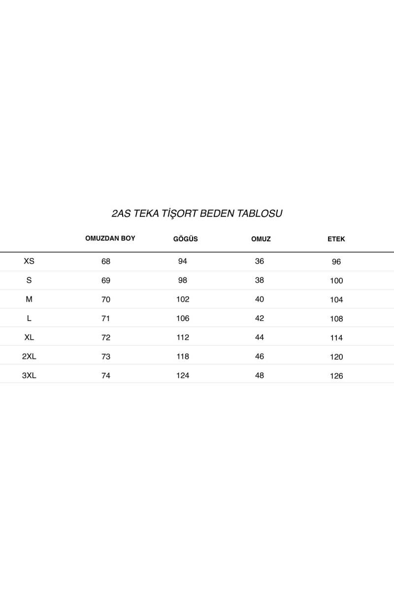 2AS Teka Sıfır Yaka Erkek Tişört - 7