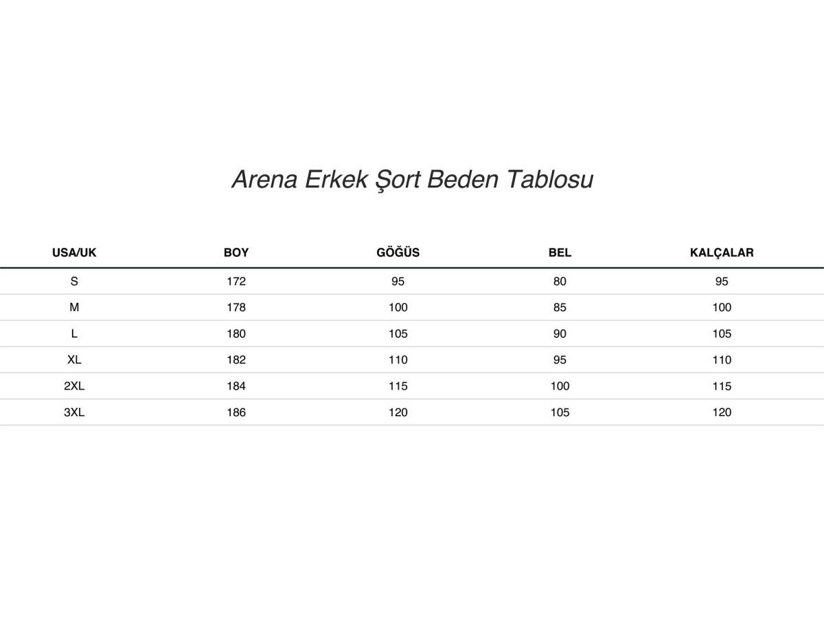 Arena Solid Short Erkek Deniz Şortu - 2