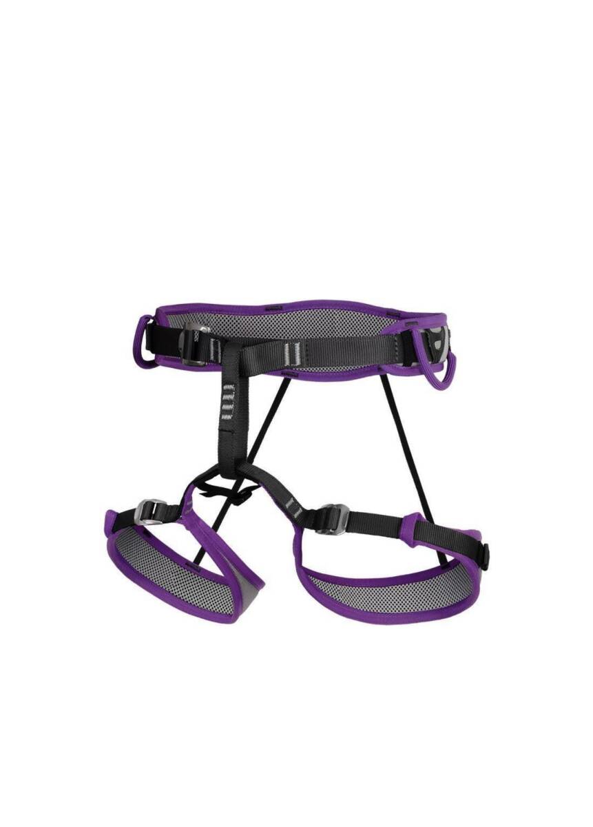 DMM Puma 2 Emniyet Kemeri Mor - 2