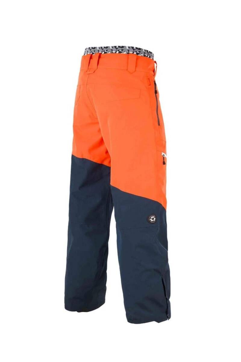 Picture Organic Alpin Erkek Snowboard Pantolonu - 2