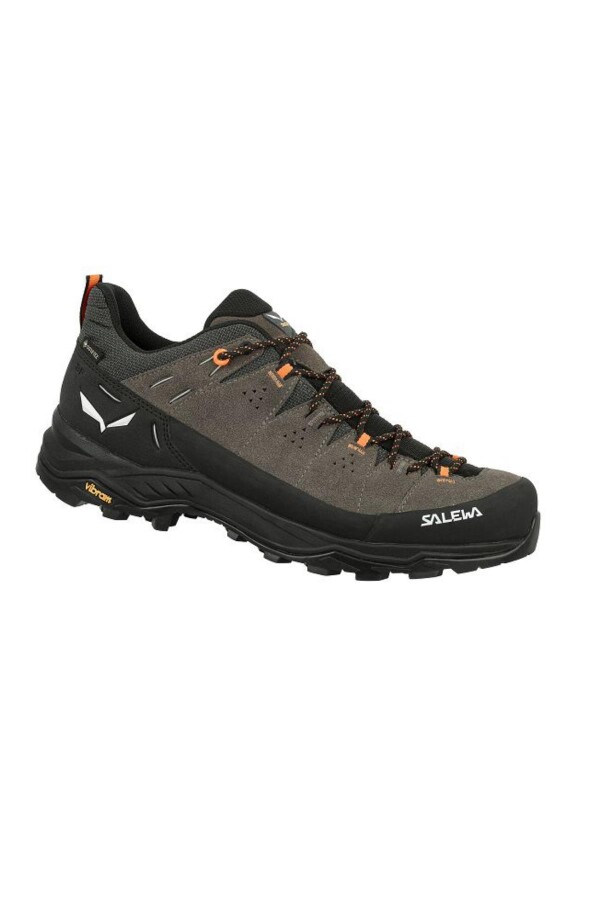 Salewa Alp Trainer 2 GTX Erkek Ayakkabı 