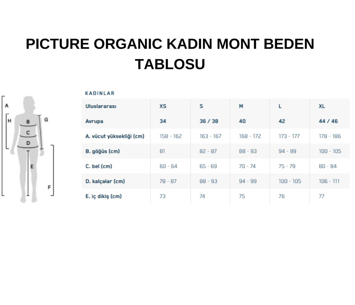 Tehanie Hybrid Kadin Snowboard Mont - 2