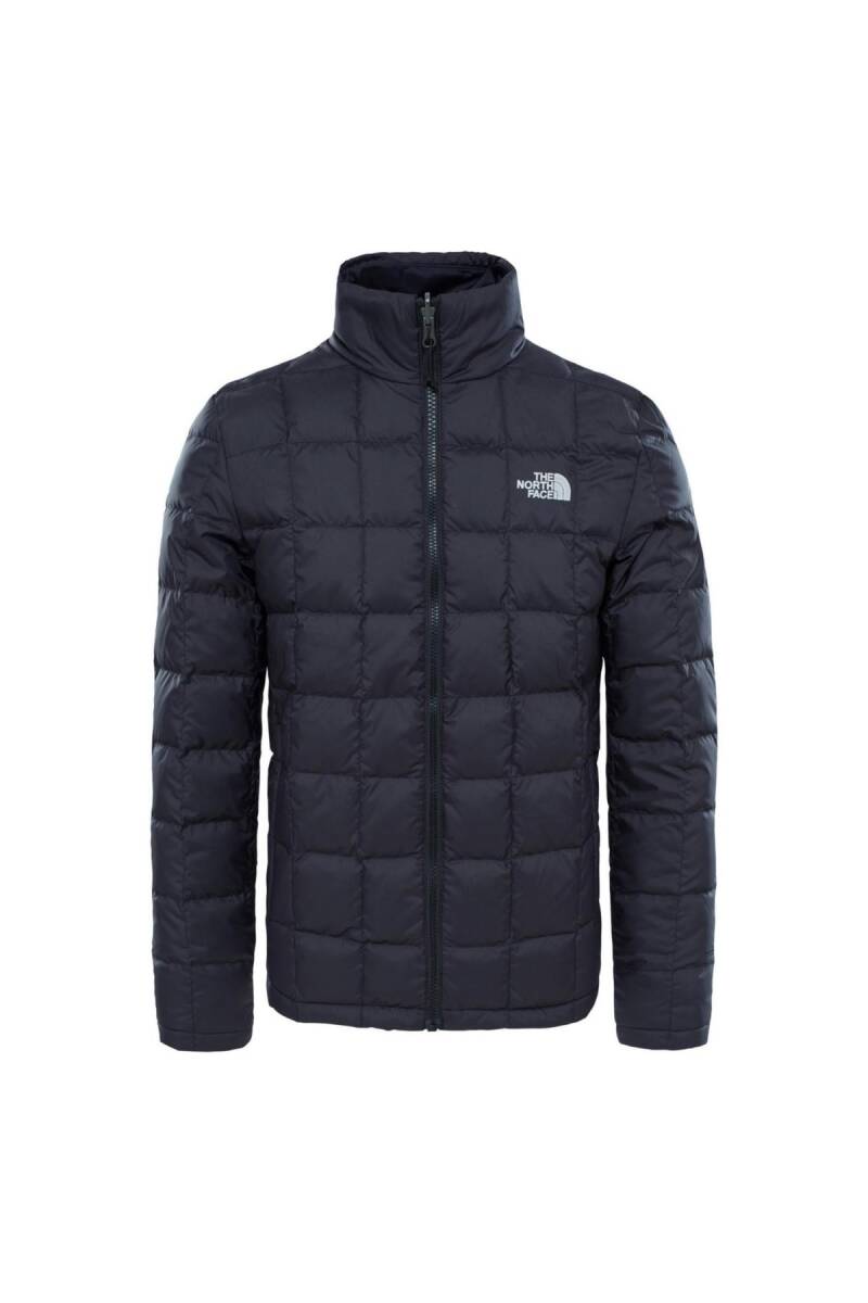 The North Face Altıer Down Trıclımate Erkek Mont Siyah - 3