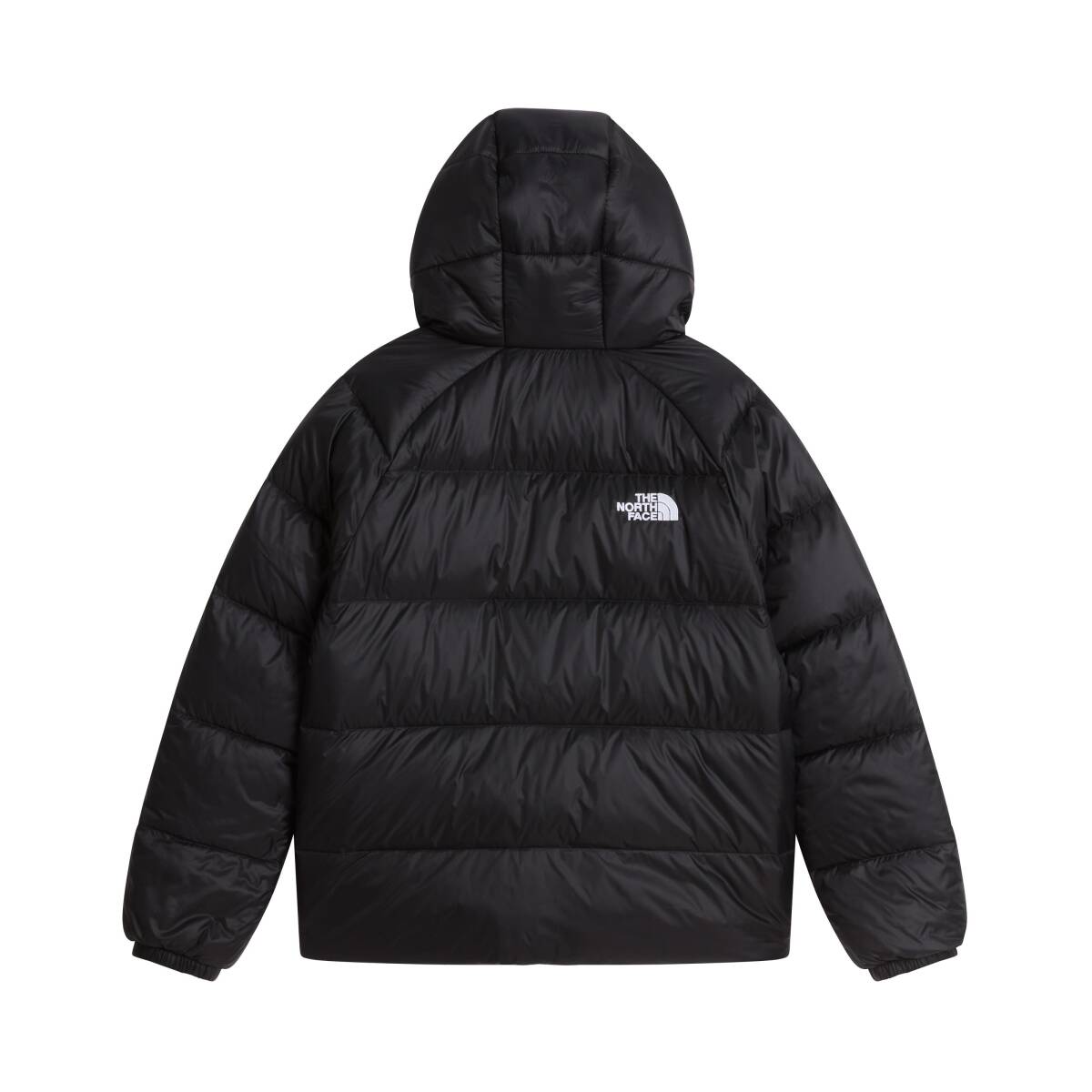 The North Face B HYDRENALITE DOWN HOODED JACKET Çocuk Mont - 2
