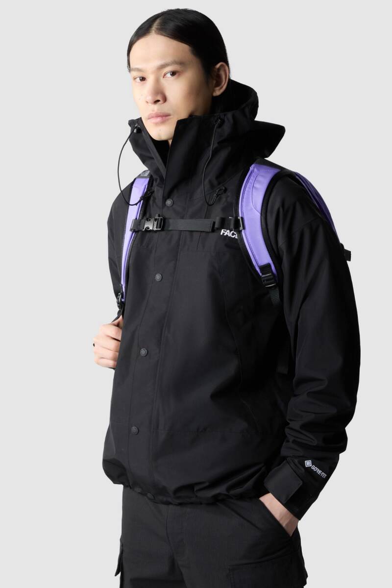 The North Face Borealis Classic Sırt Çantası - 2