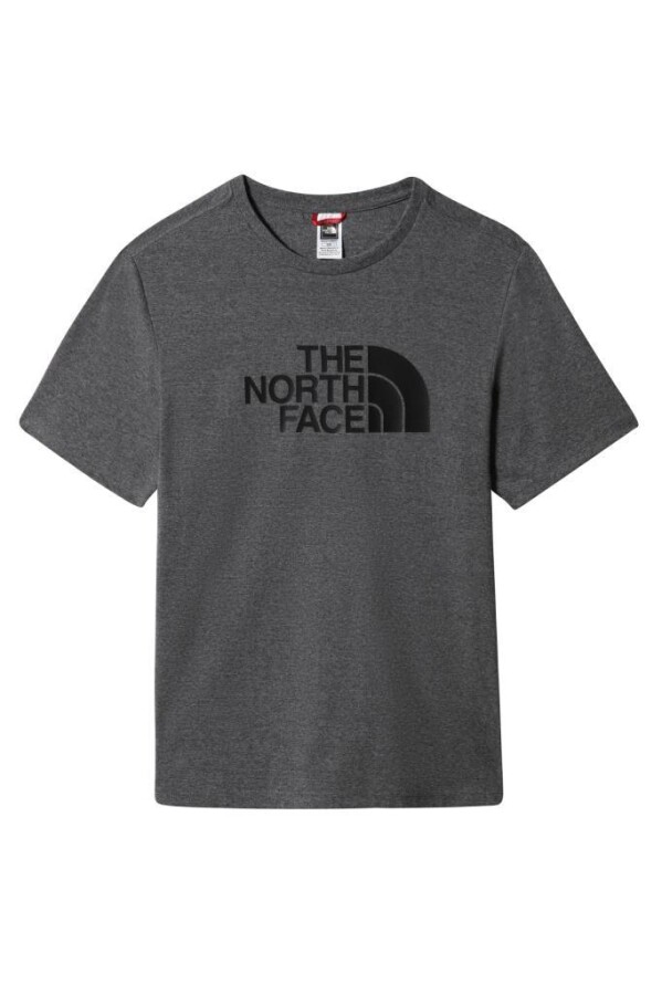 The North Face Easy Erkek Tişört Gri 