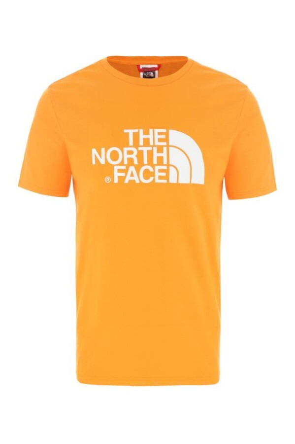 The North Face Easy Erkek Tişört Turuncu 