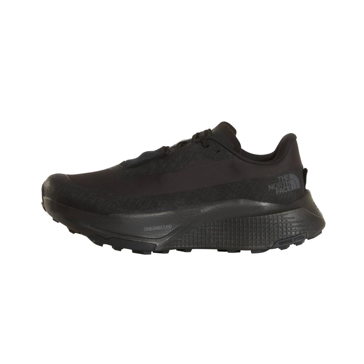 The North Face Erkek ALTAMESA 500 V2 GORE-TEX - 1