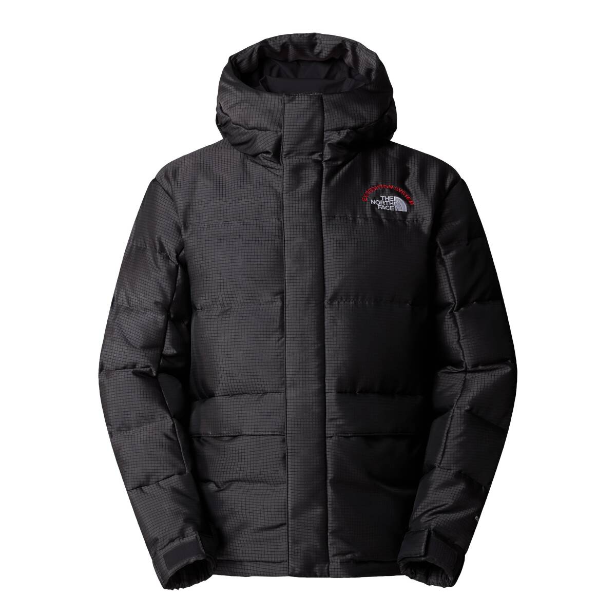 The North Face Erkek Hmlyn 30 Anniversary Parka Gri - 3