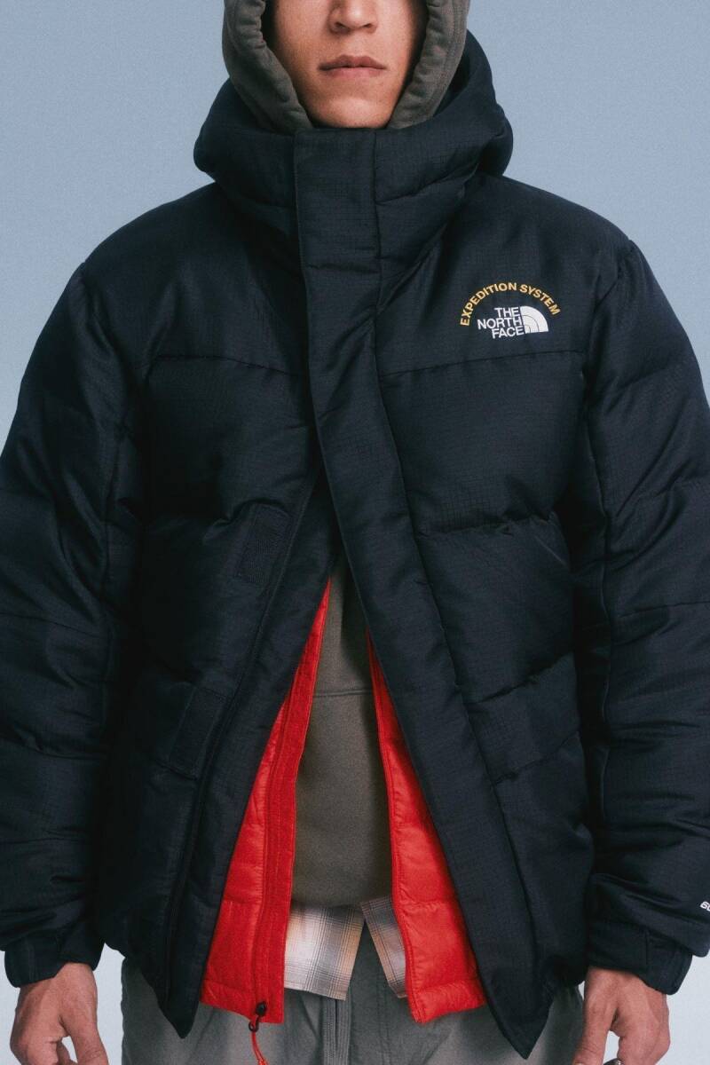 The North Face Erkek Hmlyn 30 Anniversary Parka Siyah - 2