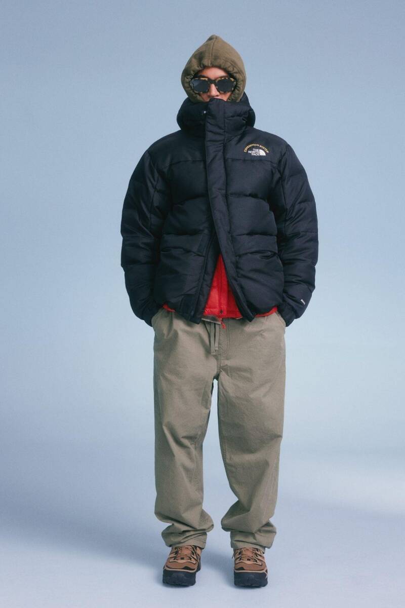 The North Face Erkek Hmlyn 30 Anniversary Parka Siyah - 3