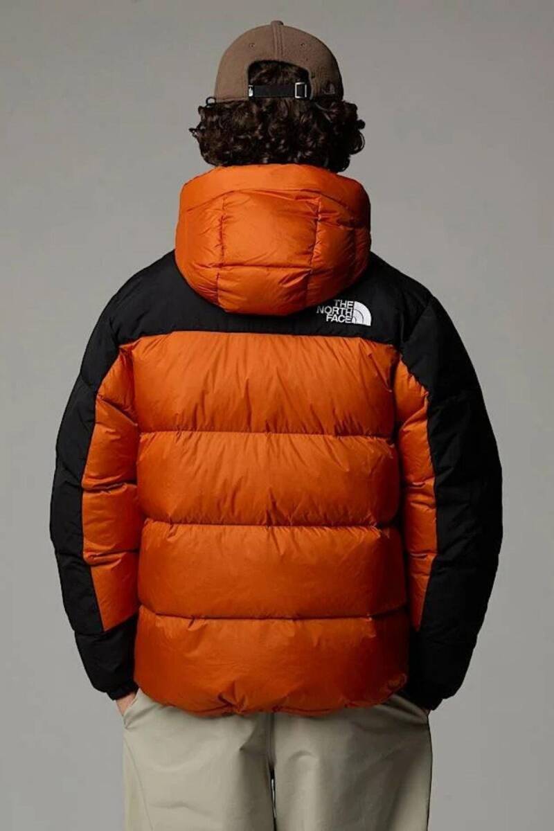 The North Face Erkek Hmlyn Down Parka - 4