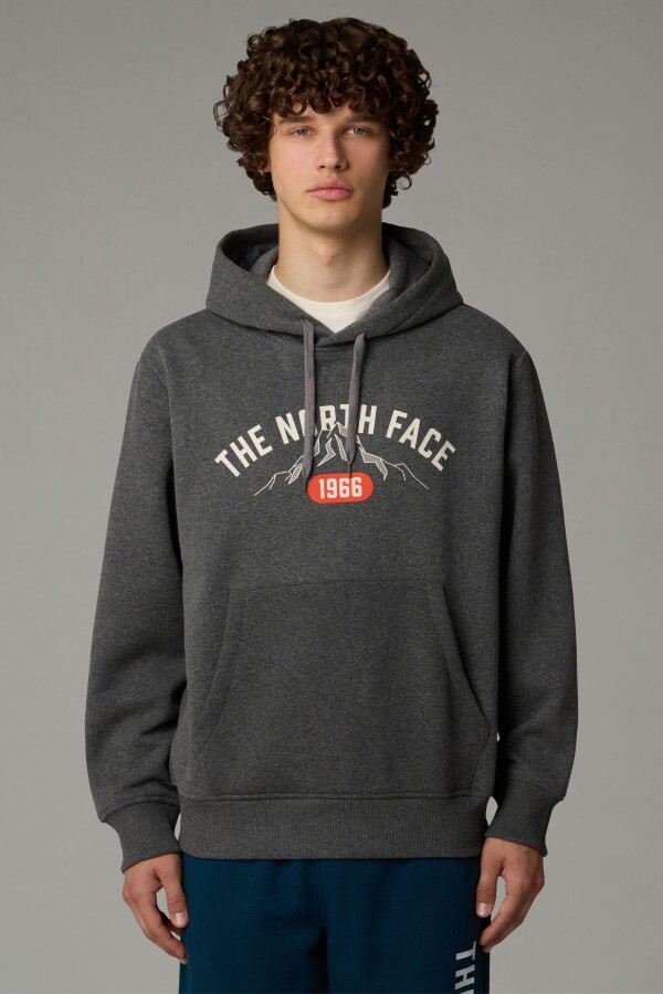 The North Face Erkek Hoodie Varsity Graphic Sweatshirt Gri 