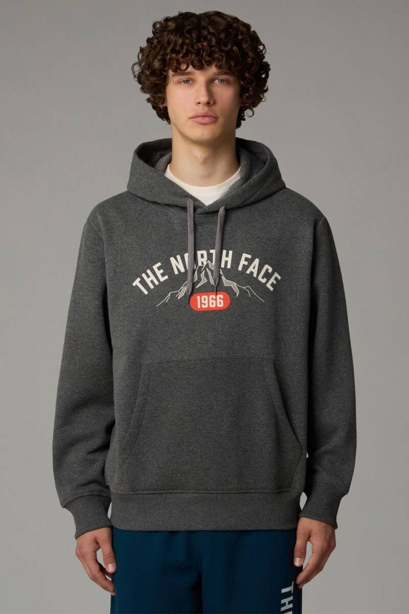 The North Face Erkek Hoodie Varsity Graphic Sweatshirt Gri - 1