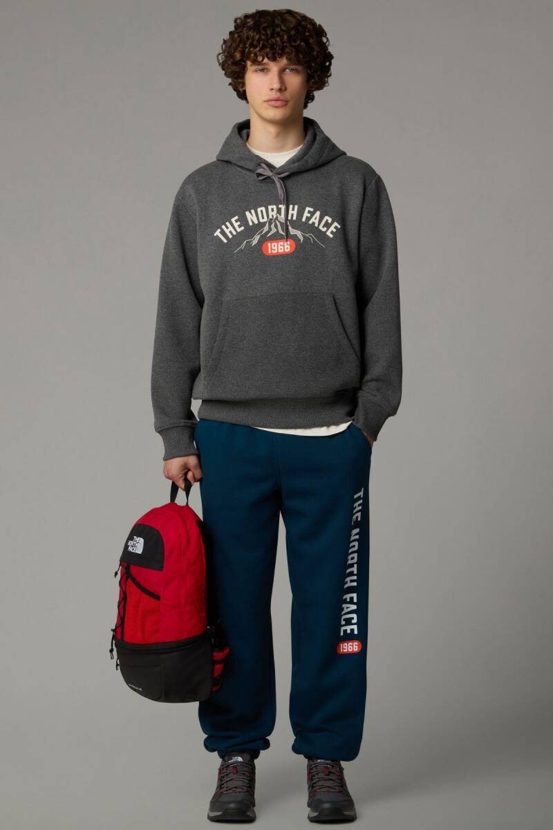 The North Face Erkek Hoodie Varsity Graphic Sweatshirt Gri - 2