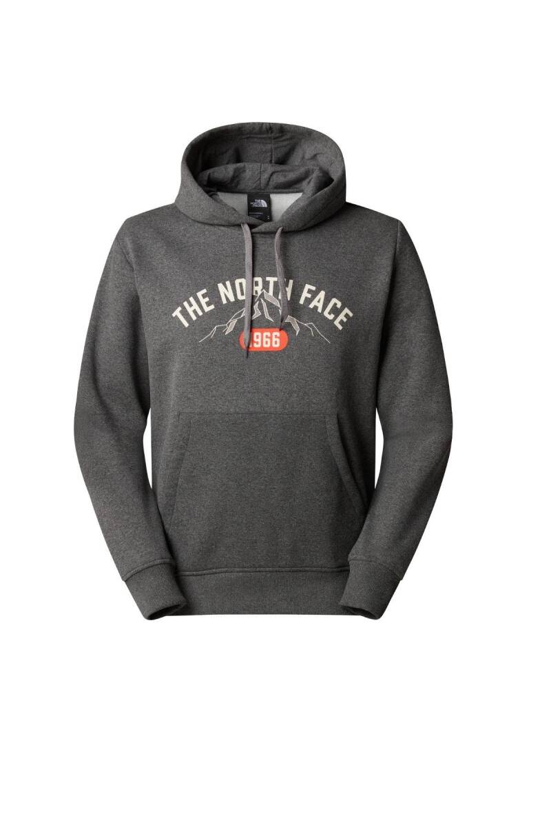 The North Face Erkek Hoodie Varsity Graphic Sweatshirt Gri - 4