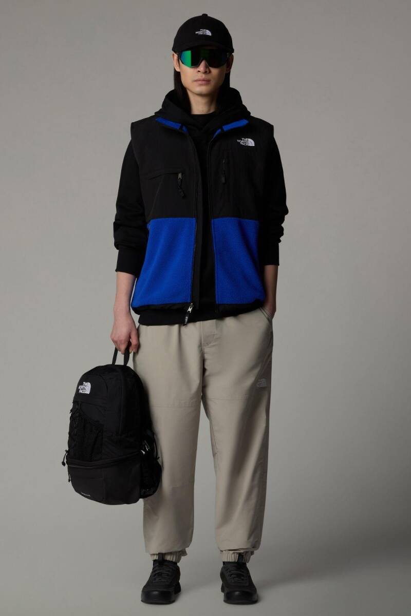 The North Face Erkek Retro Denali Yelek - 2