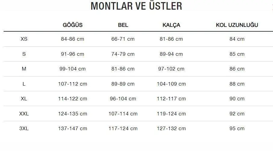 The North Face Fine Alpine Equıpment Erkek Tişört Siyah - 3