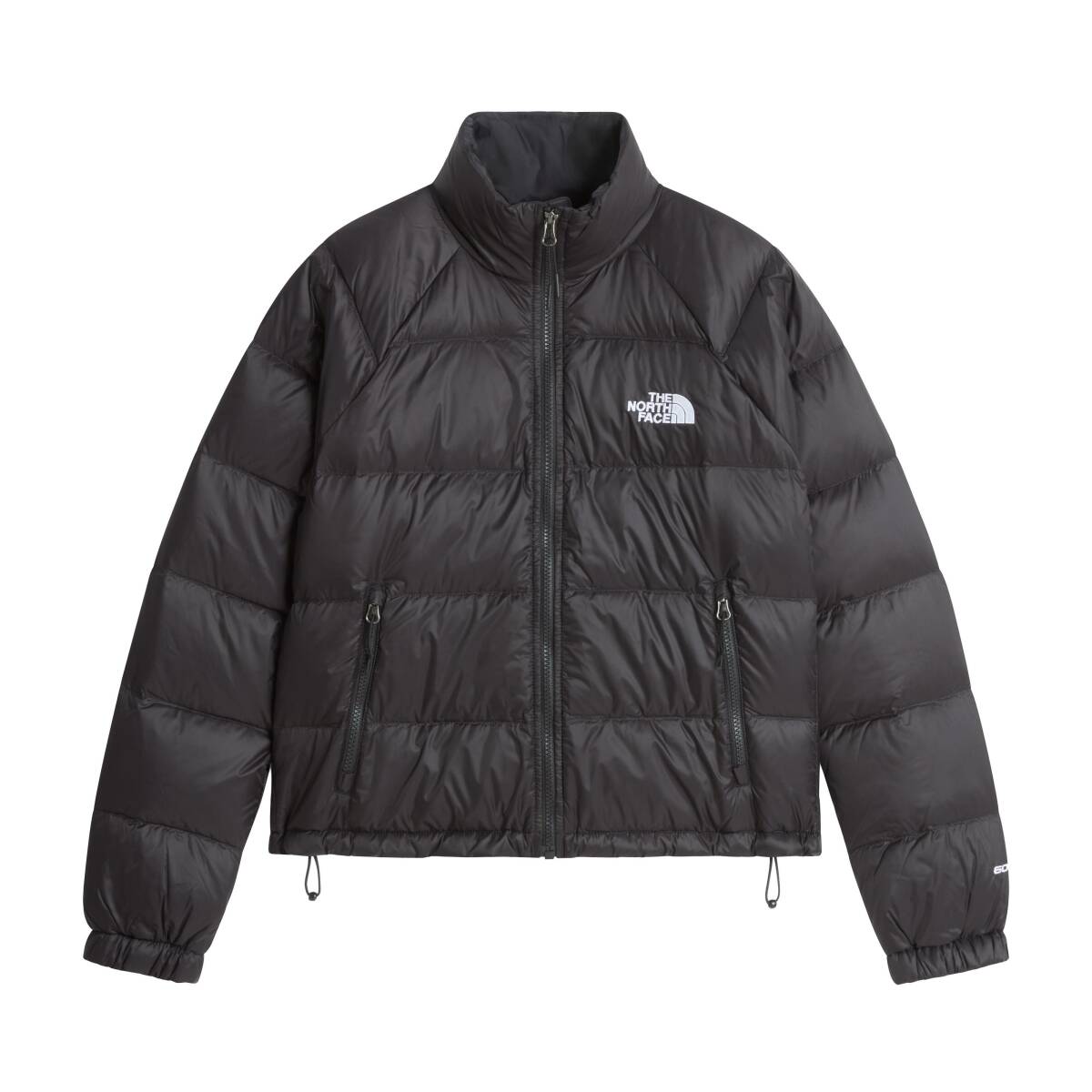 The North Face Hydrenalite™ Kaz Tüyü Kadın Mont - 1