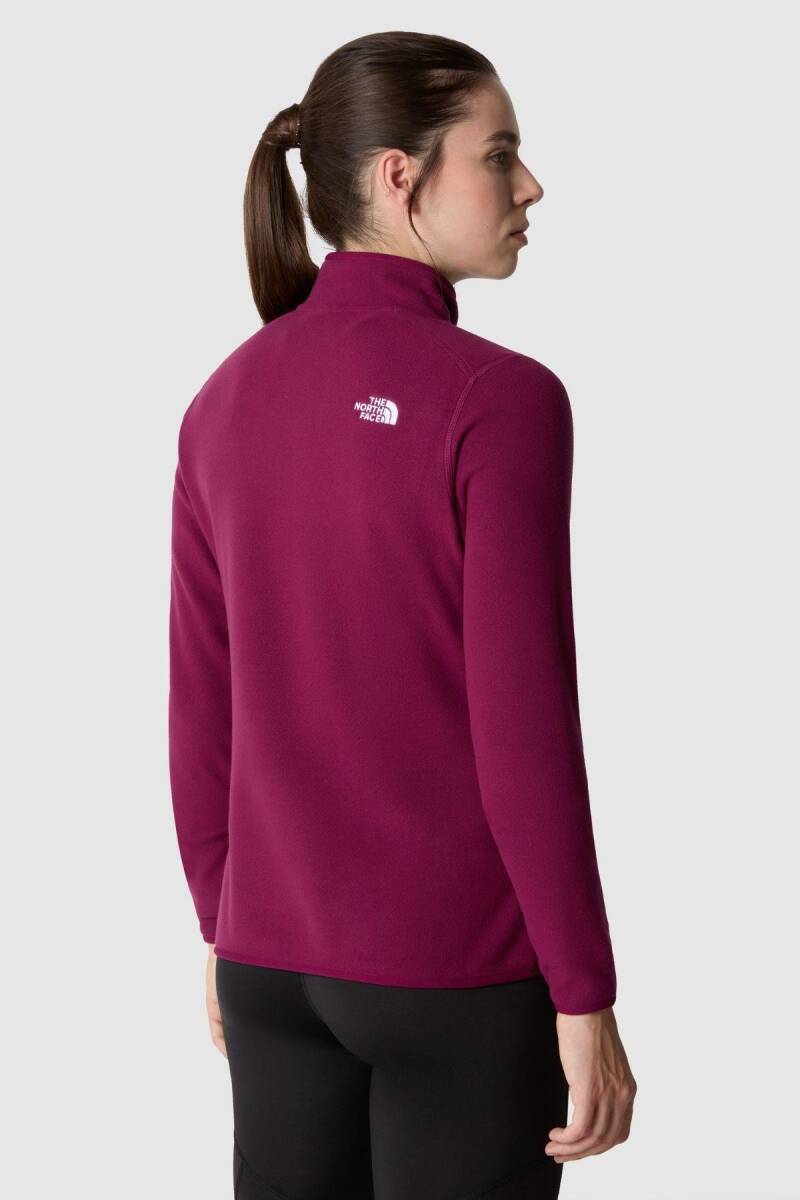 The North Face Kadın 100 Glacier 1/4 Zip - Eu Polar Mor - 3