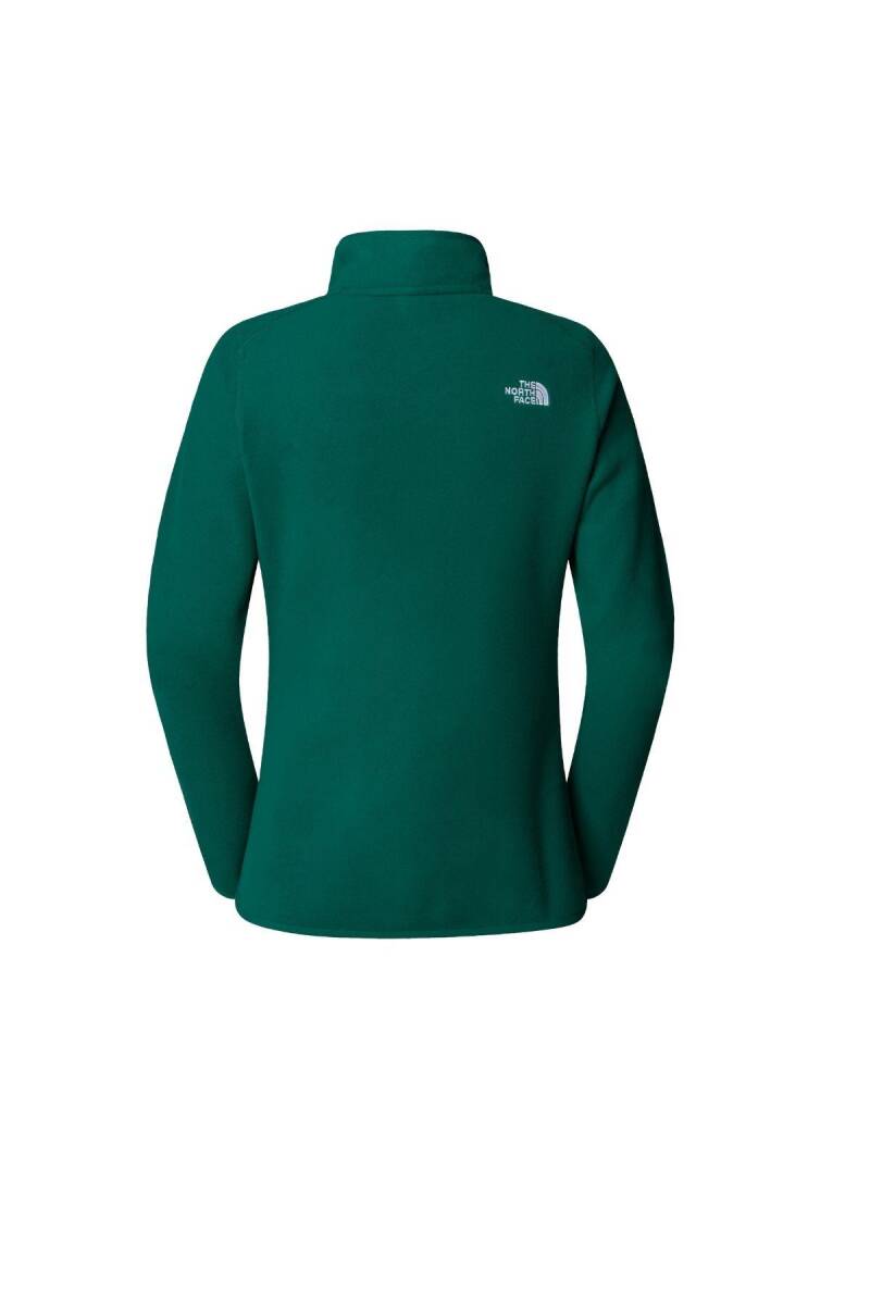 The North Face Kadın 100 Glacier 1/4 Zip Polar Yeşil - 5