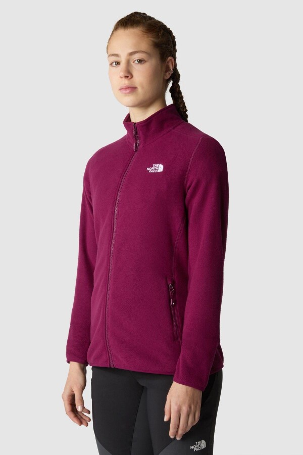 The North Face Kadın 100 Glacier Fz - Eu Kadın Sweatshirt 