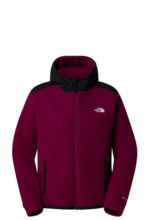 The North Face Kadın Alpine Polartec 200 F/Z Hooded Jacket Mont 