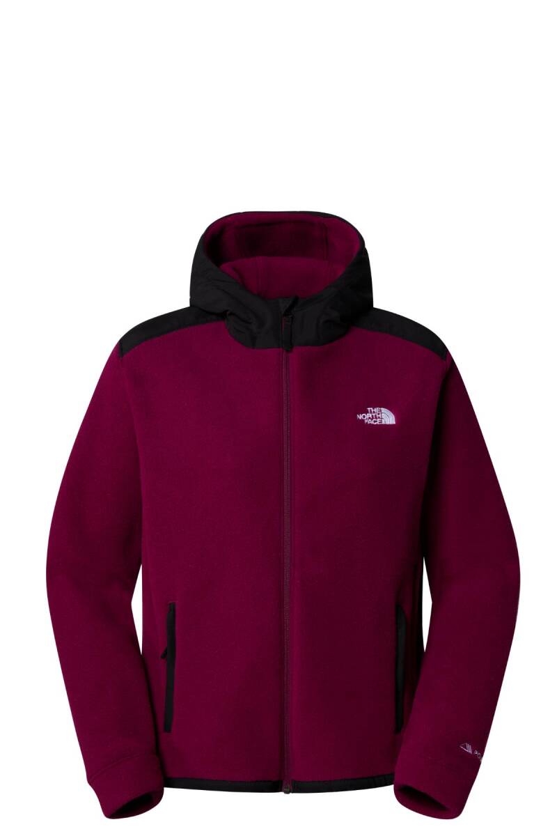 The North Face Kadın Alpine Polartec 200 F/Z Hooded Jacket Mont - 1