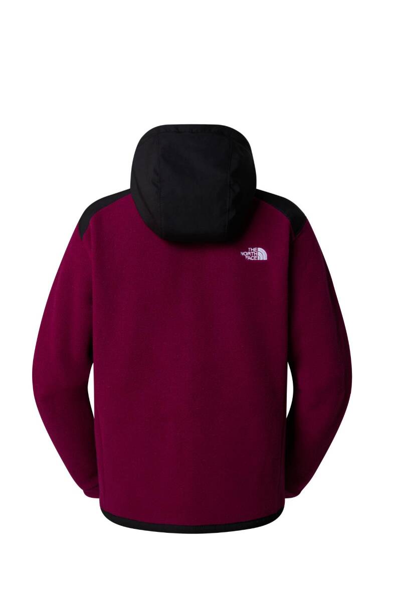 The North Face Kadın Alpine Polartec 200 F/Z Hooded Jacket Mont - 2