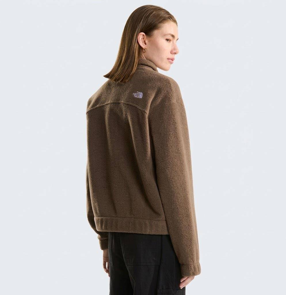 The North Face Kadın Collared Polar Mont - 4