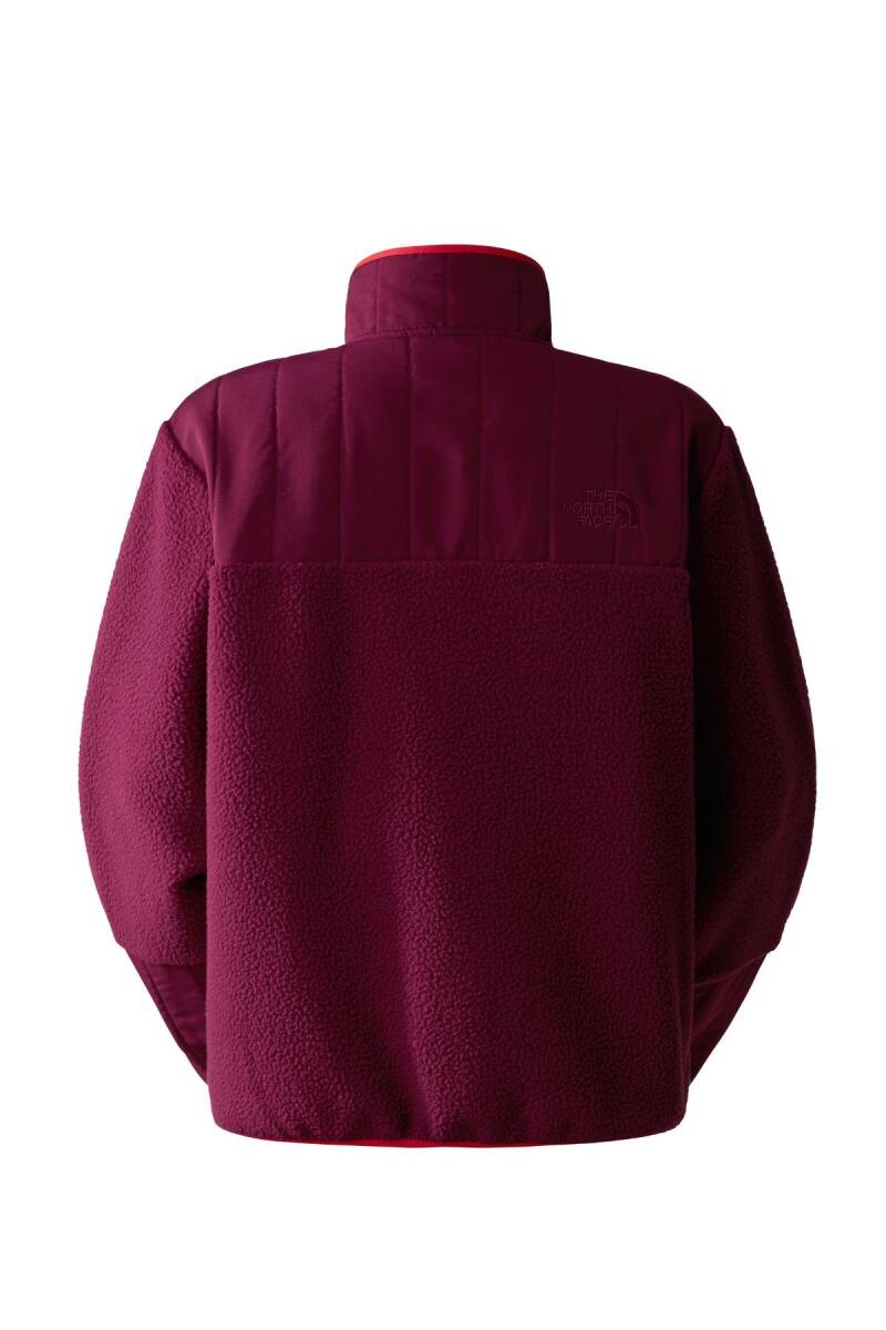 The North Face Kadın Cragmont Fleece 1/4 Snap Polar - 2