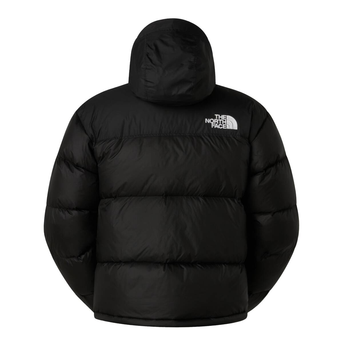 The North Face M 1996 RETRO NUPTSE JACKET Erkek Mont - 2
