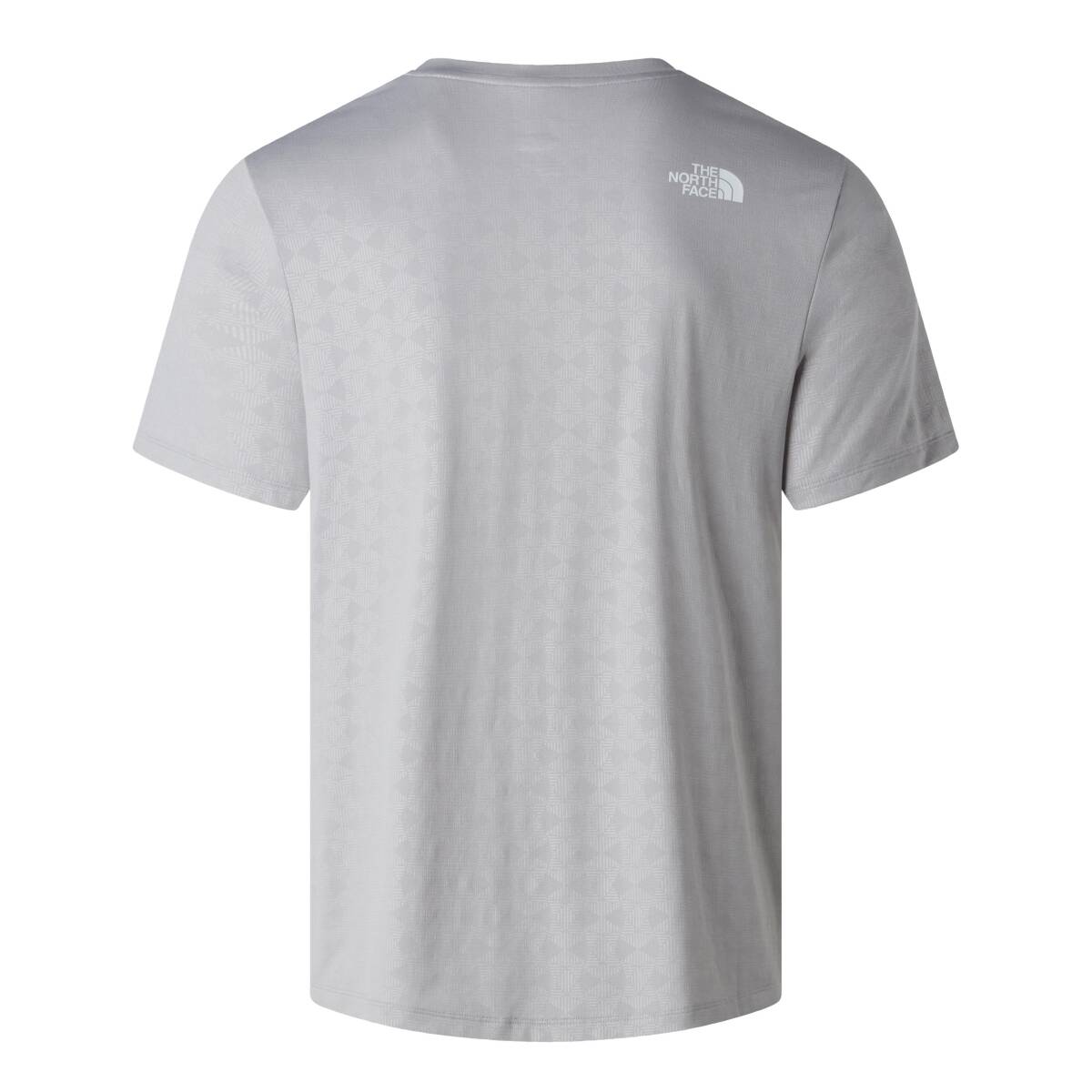 The North Face M 24/7 PENTADOME EMBOSSED REG SS TEE Tişört Gri - 2