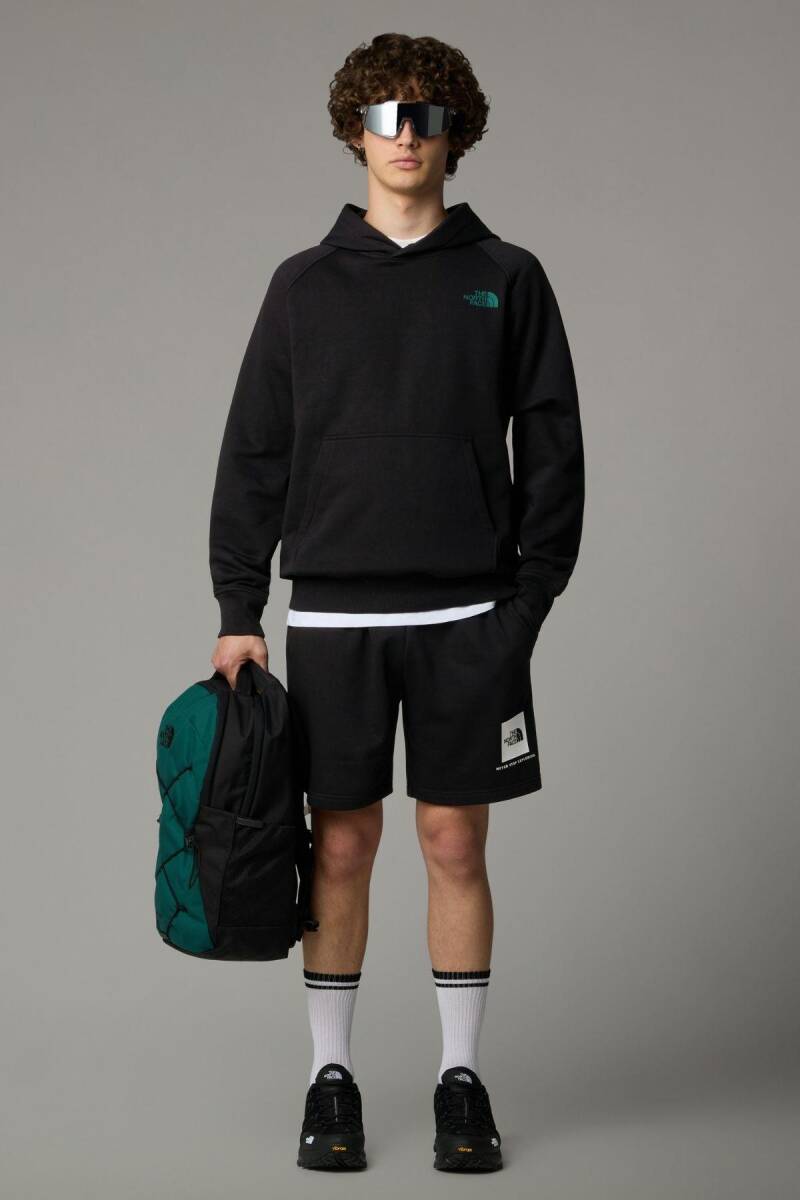 The North Face M Box Nse Regular Erkek Şortu - 2
