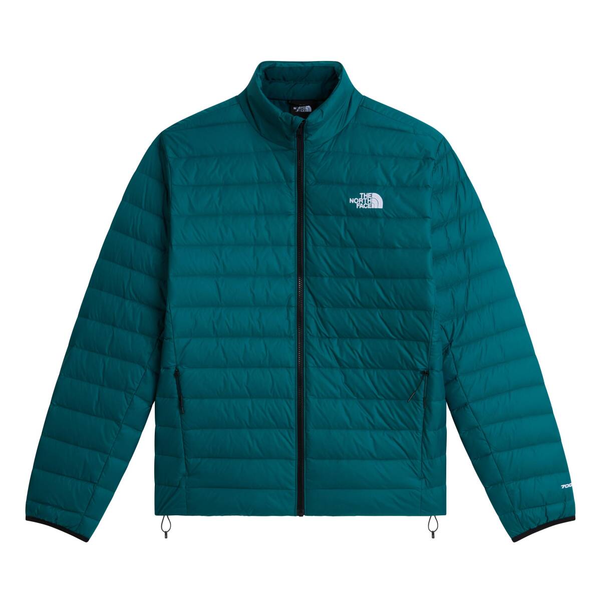 The North Face M CLASSIC DOWN JACKET Erkek Mont - 1