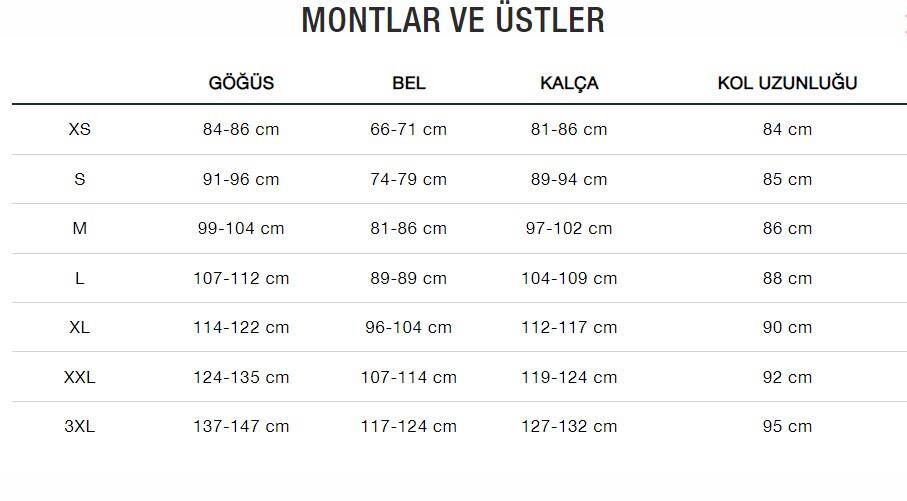 The North Face M Cyclone Jacket 3 Erkek Ceket - 3