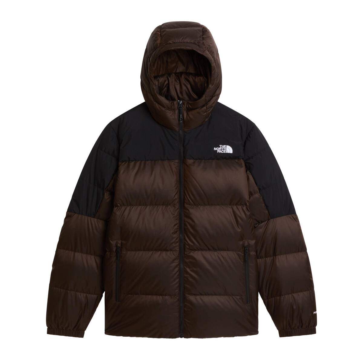 The North Face M DIABLO DOWN 2.0 HOODIE Erkek Mont - 1