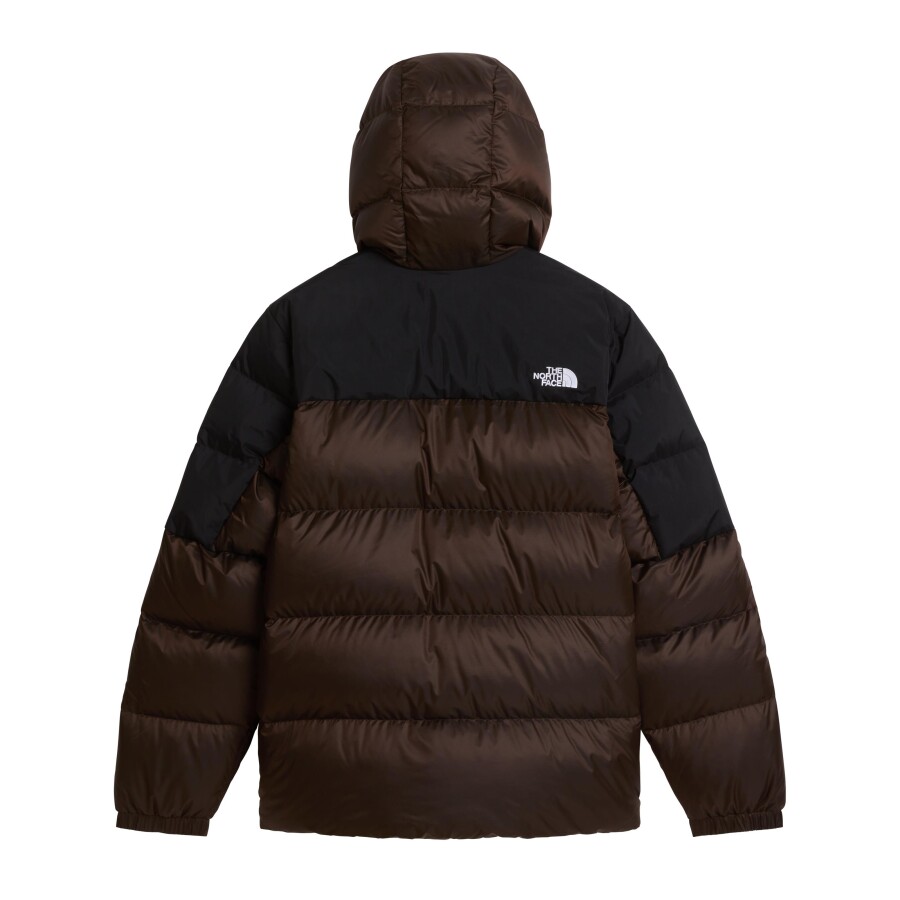 The North Face M DIABLO DOWN 2.0 HOODIE Erkek Mont - THE NORTH FACE (1)