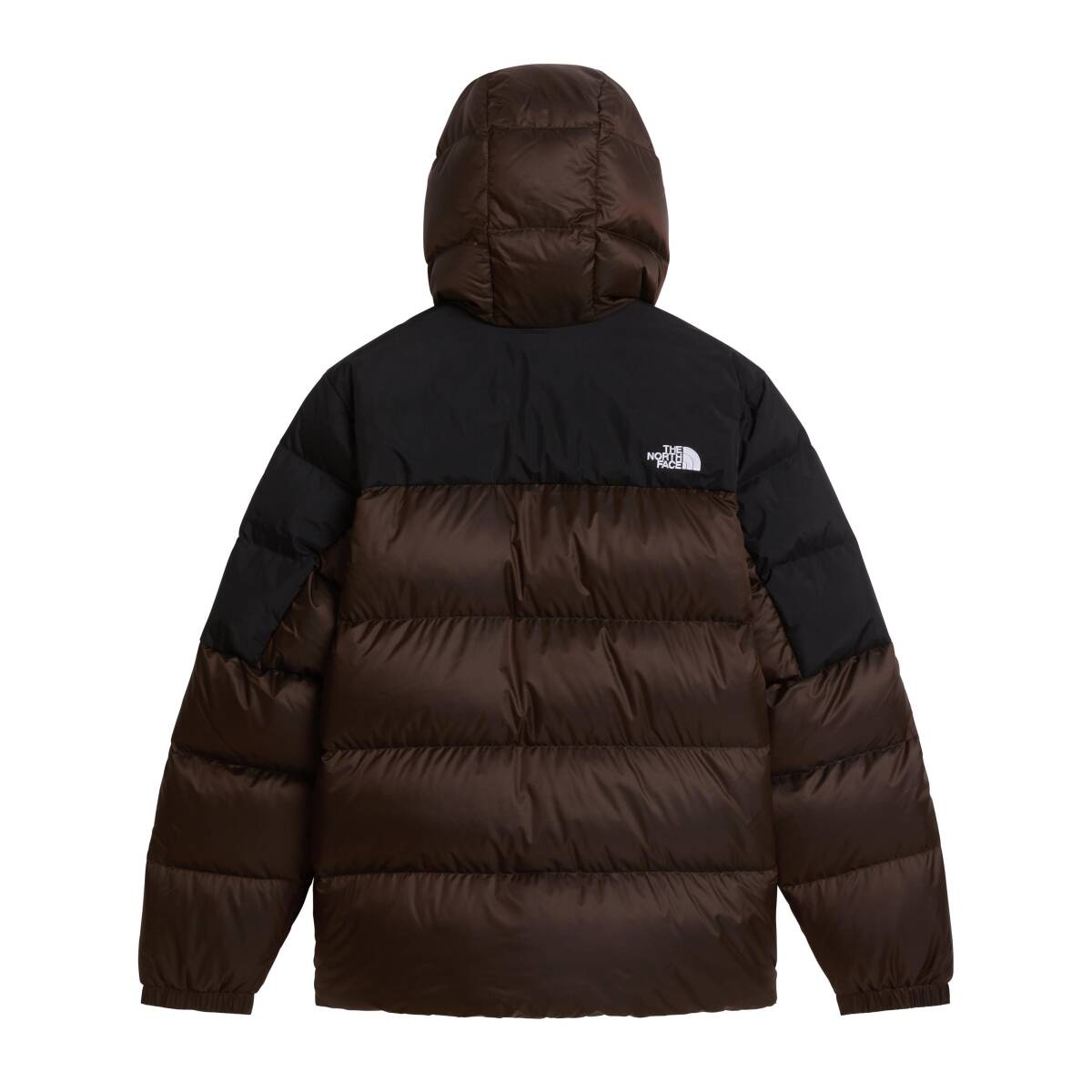 The North Face M DIABLO DOWN 2.0 HOODIE Erkek Mont - 2