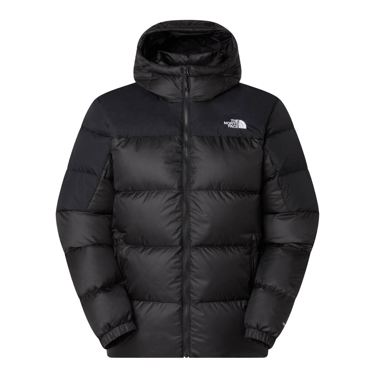 The North Face M DIABLO DOWN 2.0 HOODIE Erkek Mont - 1