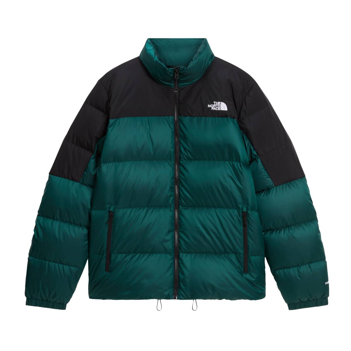 The North Face M DIABLO DOWN 2.0 JACKET Erkek Mont - 1